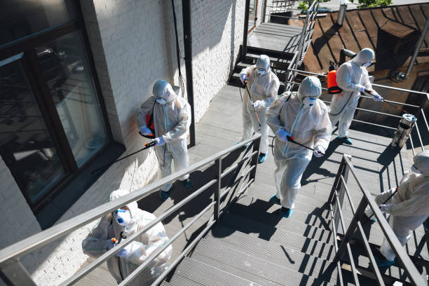 Best Comprehensive Air Testing for Mold Contaminants  in North Manchester, IN