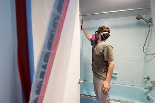 Best Residential Mold Inspection & Testing  in North Manchester, IN