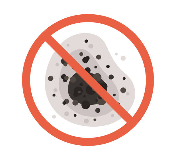 Best Basement Mold Removal  in North Manchester, IN