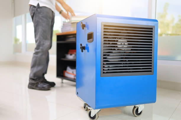 Best Emergency Mold Remediation  in North Manchester, IN