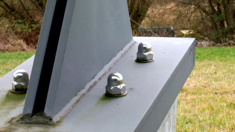 Best Black Mold Removal  in North Manchester, IN